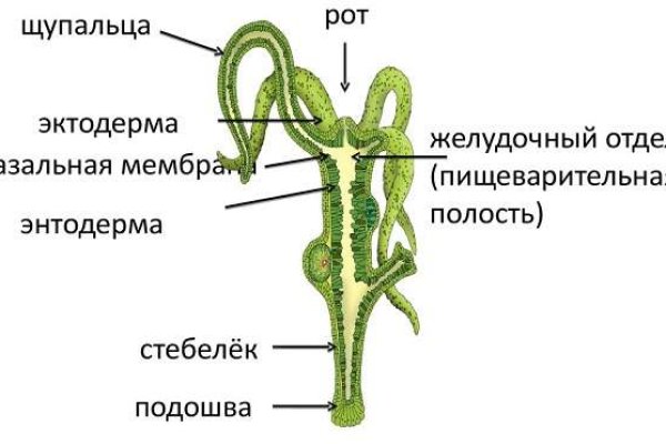 Блэк спрут сайт blacksprut adress com