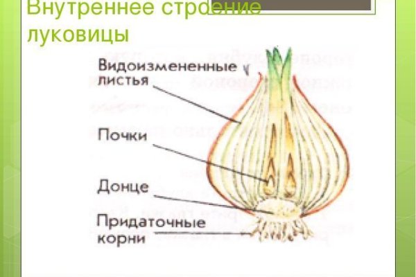 Блэкспрут ссылка тор 1blacksprut me