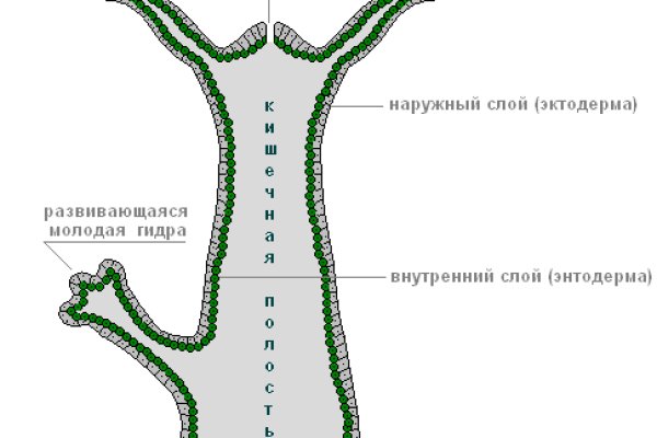 Сайт blacksprut на торе ссылка